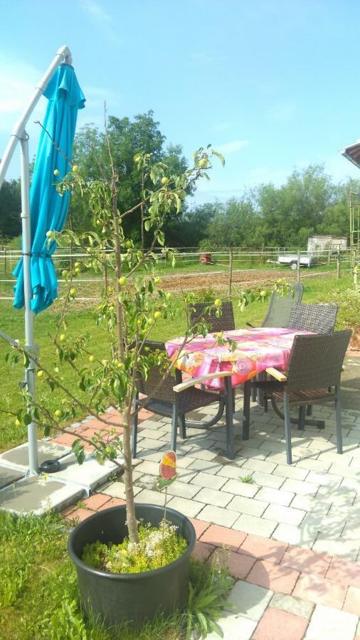 Ferienwohnung Am Verlorenen Bach Untermuhlhausen ภายนอก รูปภาพ